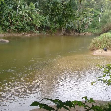 Recanto Beira Rio Сана Екстериор снимка
